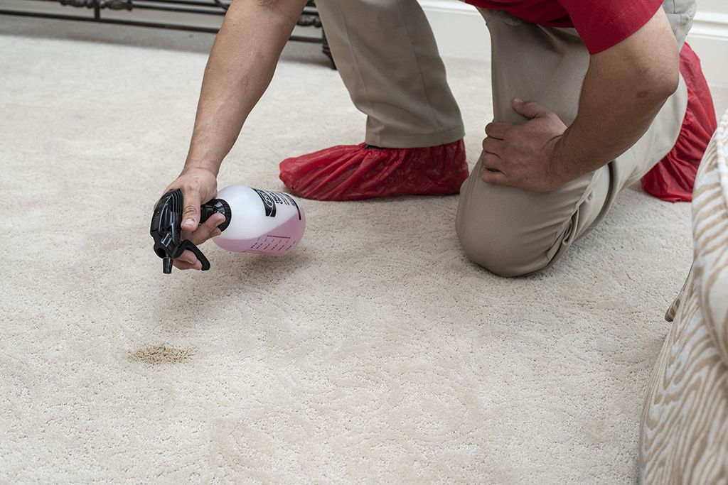 An Aladdin technican using professional-grade stain remover in carpet cleaning process