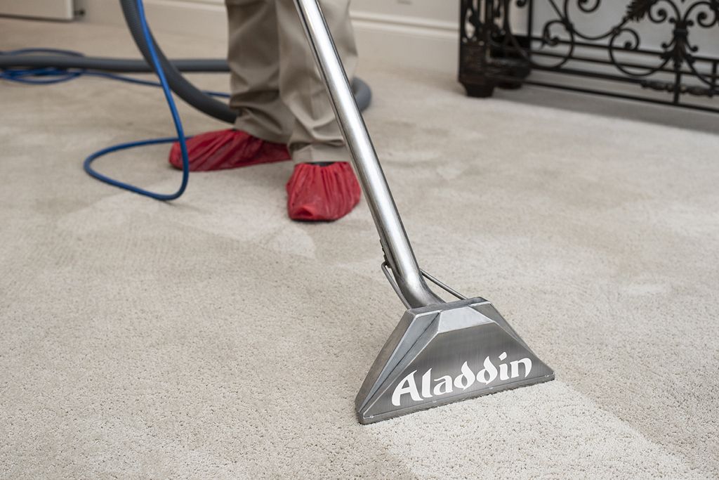 An Aladdin technician professionally cleaning a beige carpet
