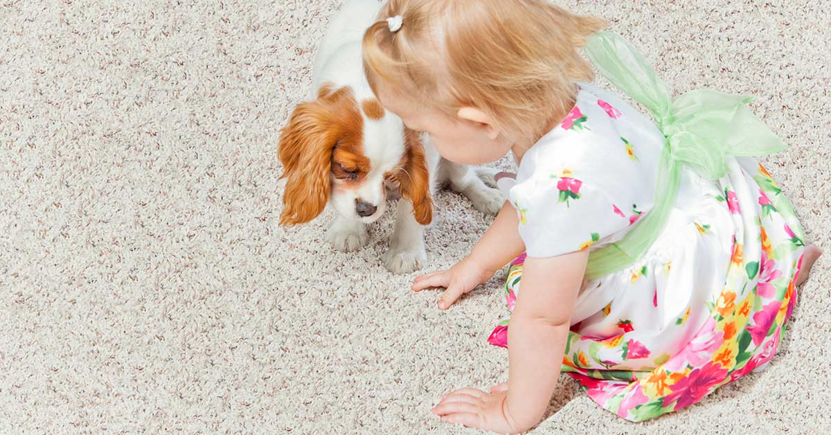how-to-keep-carpets-clean-when-you-have-kids-and-pets