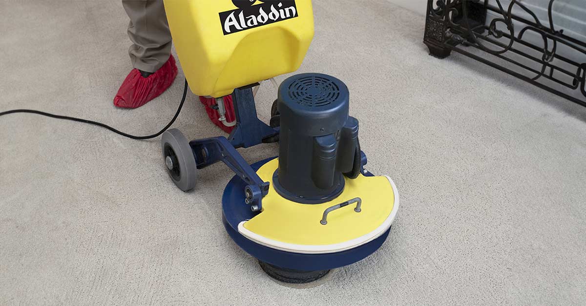 aladdin technician cleaning carpet carpet cleaning in san antonio texas