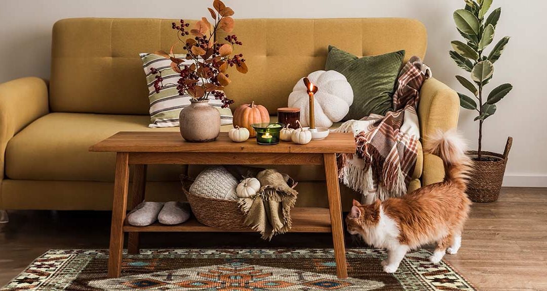 4 Fall Interior Design Trends to Manifest Cooler Weather in 2024