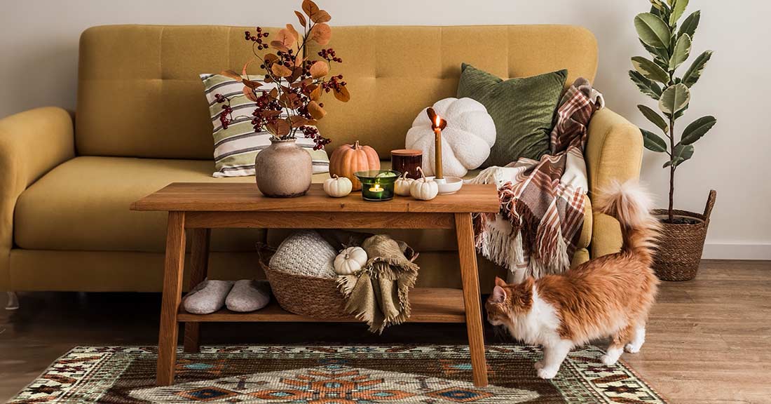 4 Fall Interior Design Trends to Manifest Cooler Weather in 2024