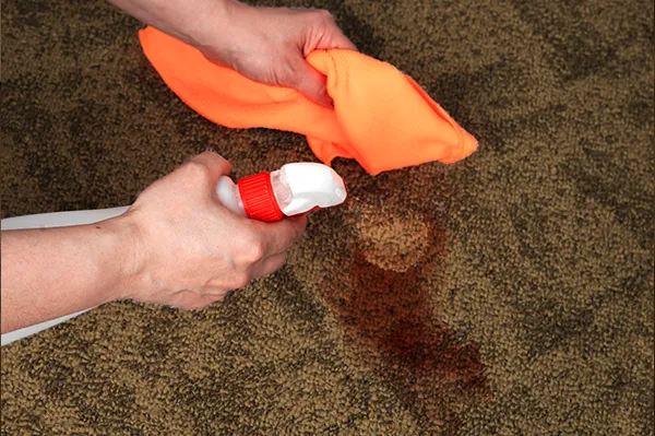 carpet stain being sprayed to remove